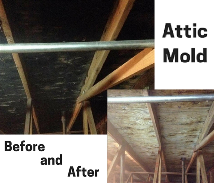 Before and After photos of mold remediation in an attic