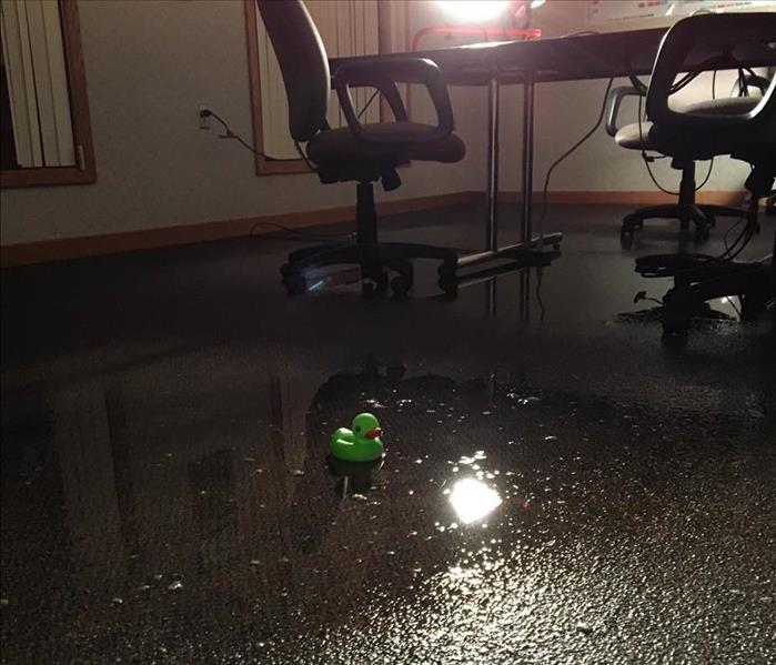 SERVPRO Duck in standing water of conference room.