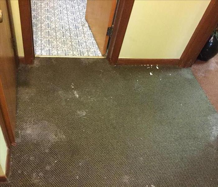 Water damaged carpet in a hallway leading to three doors/rooms