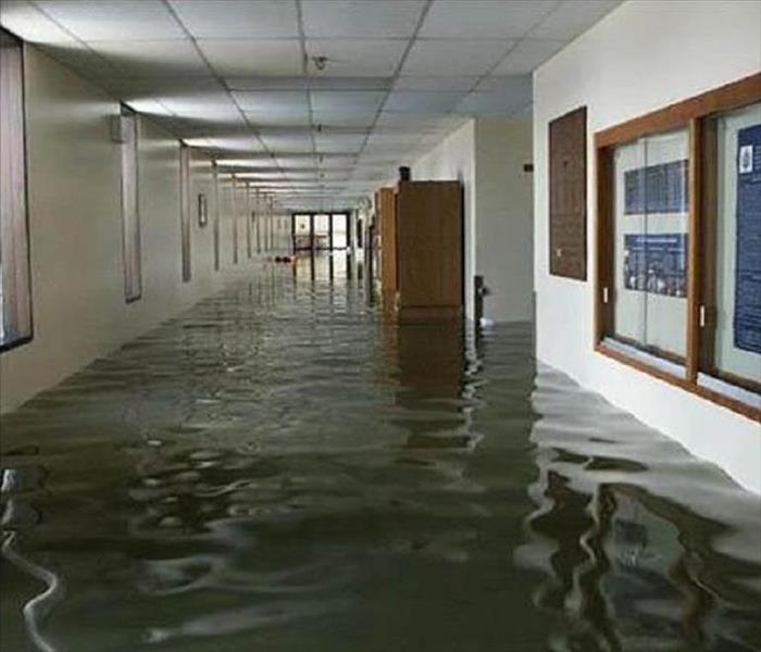 Office hallway affected by two feet of water