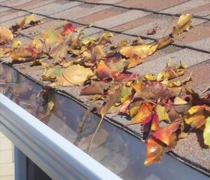 Fall leaves on a roof and in the gutter