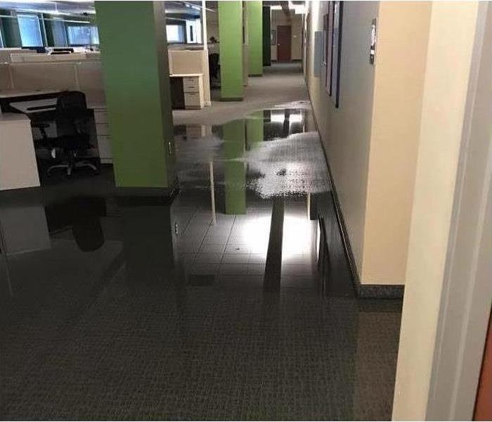 Wet carpet floor in an office, flooded carpet in an office