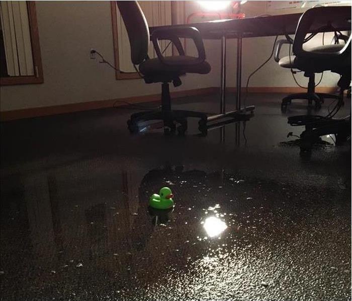 wet carpet, standing water, water damage in an office.